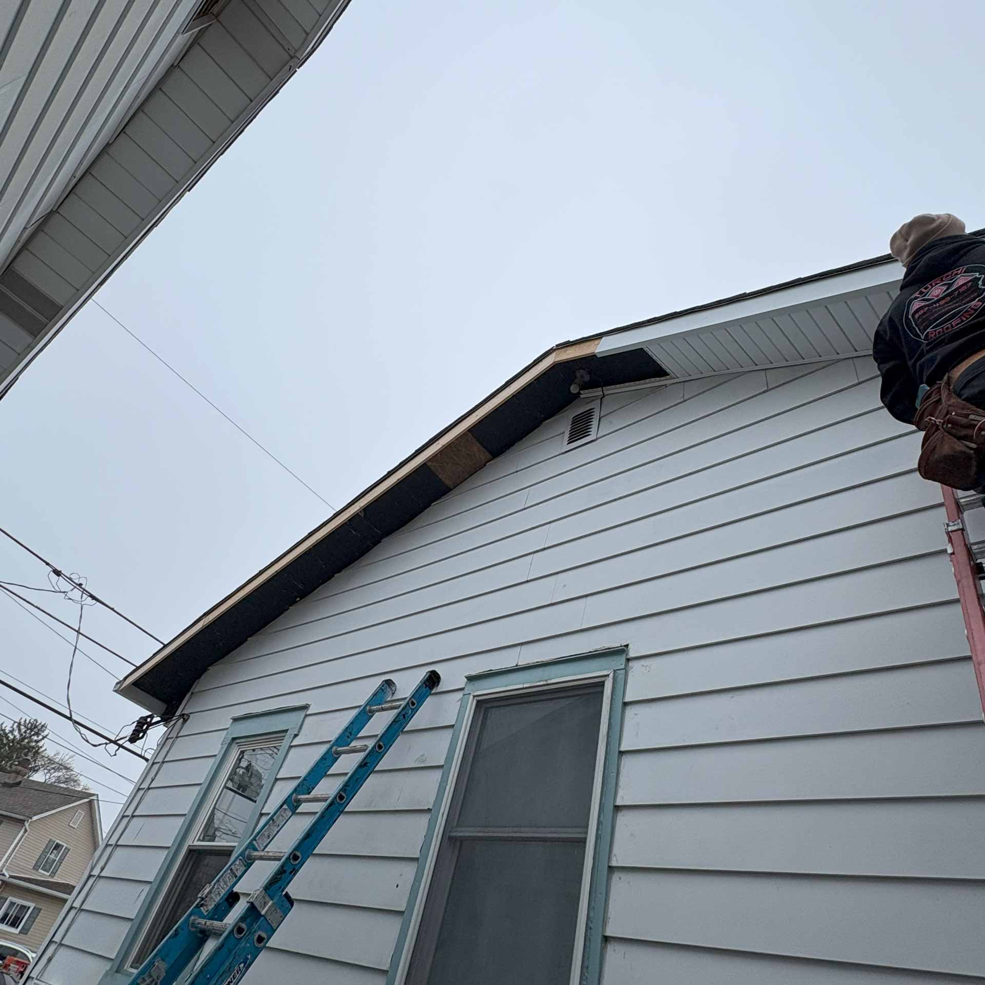 Gutter repair professional on ladder